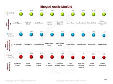 Bireysel Analiz Modülü