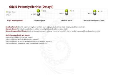 Güçlü Potansiyelleriniz (Detaylı)