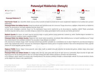 Potansiyel Riskleriniz (Detaylı)