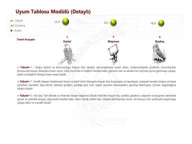 Uyum Tablosu Modülü (Detaylı)