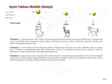 Uyum Tablosu Modülü (Detaylı)