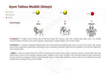 Uyum Tablosu Modülü (Detaylı)