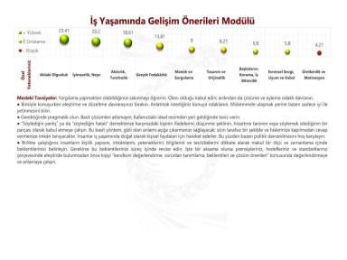 İş Yaşamında Gelişim Önerileri Modülü