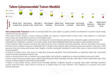 Takım Çalışmasındaki Tutum Modülü