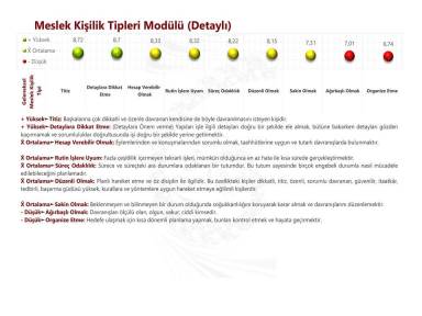 Meslek Kişilik Tipleri Modülü (Detaylı)