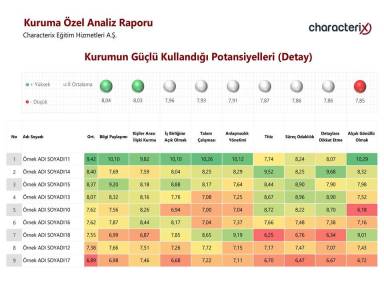 Kurumun Güçlü Kullandığı Potansiyelleri (Detay)