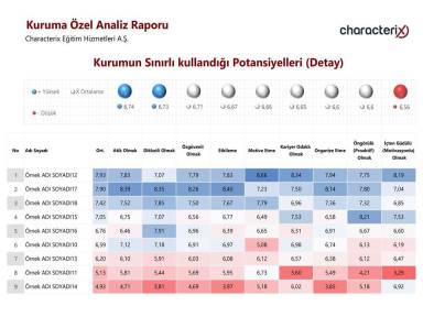 Kurumun Sınırlı kullandığı Potansiyelleri (Detay)