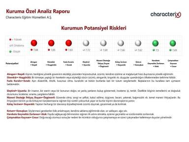 Kurumun Potansiyel Riskleri