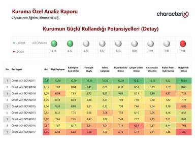 Kurumun Güçlü Kullandığı Potansiyelleri (Detay)