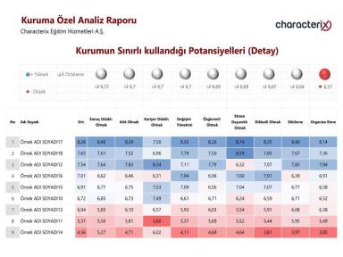 Kurumun Sınırlı kullandığı Potansiyelleri (Detay)