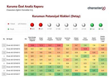 Kurumun Potansiyel Riskleri (Detay)